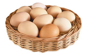 egg_PNG24-600x386_edited.png