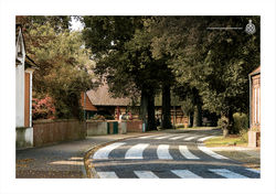 Zebra-Crossing-1
