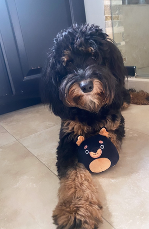 Screen Shot 2022-12-01 at 6.19.42 PM.png