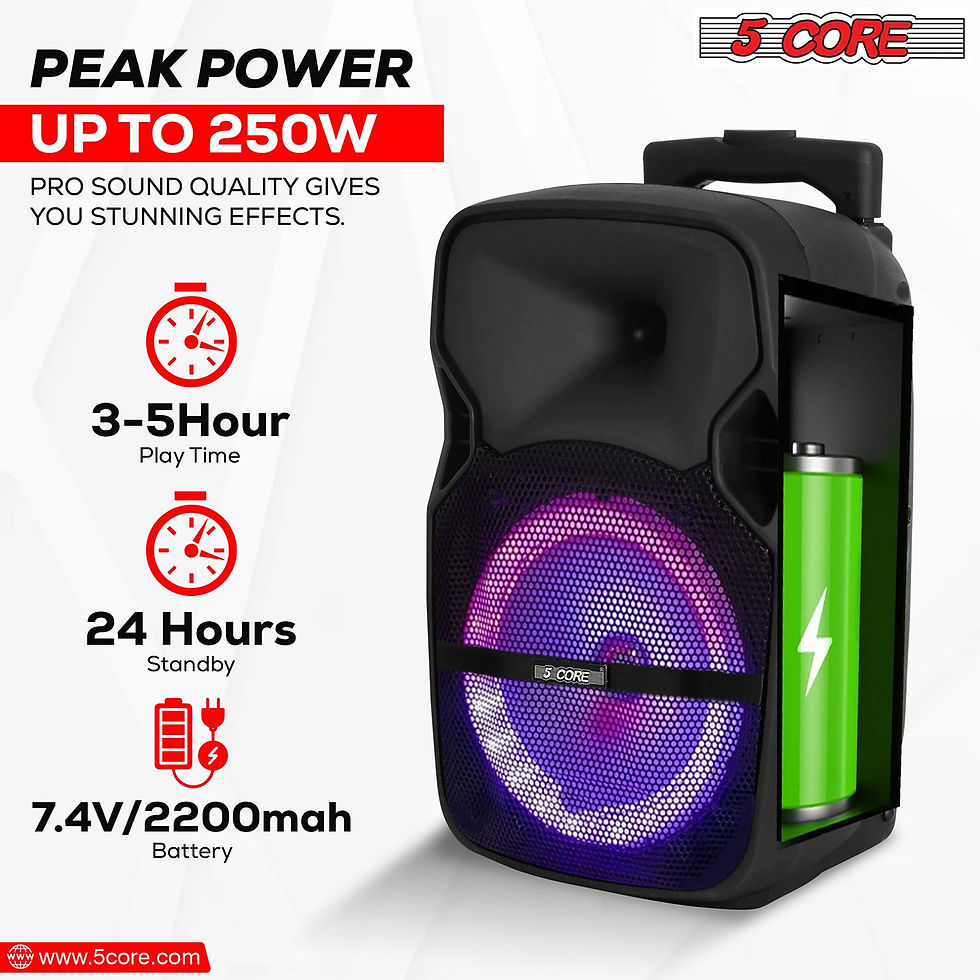 Miniatura: 5Core 8 inch PA Portable Bluetooth Party Speaker Karaoke Boombox + 2 Wireless Mi