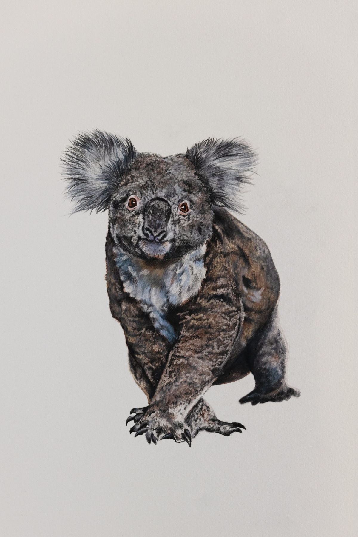 KOALA 2023
