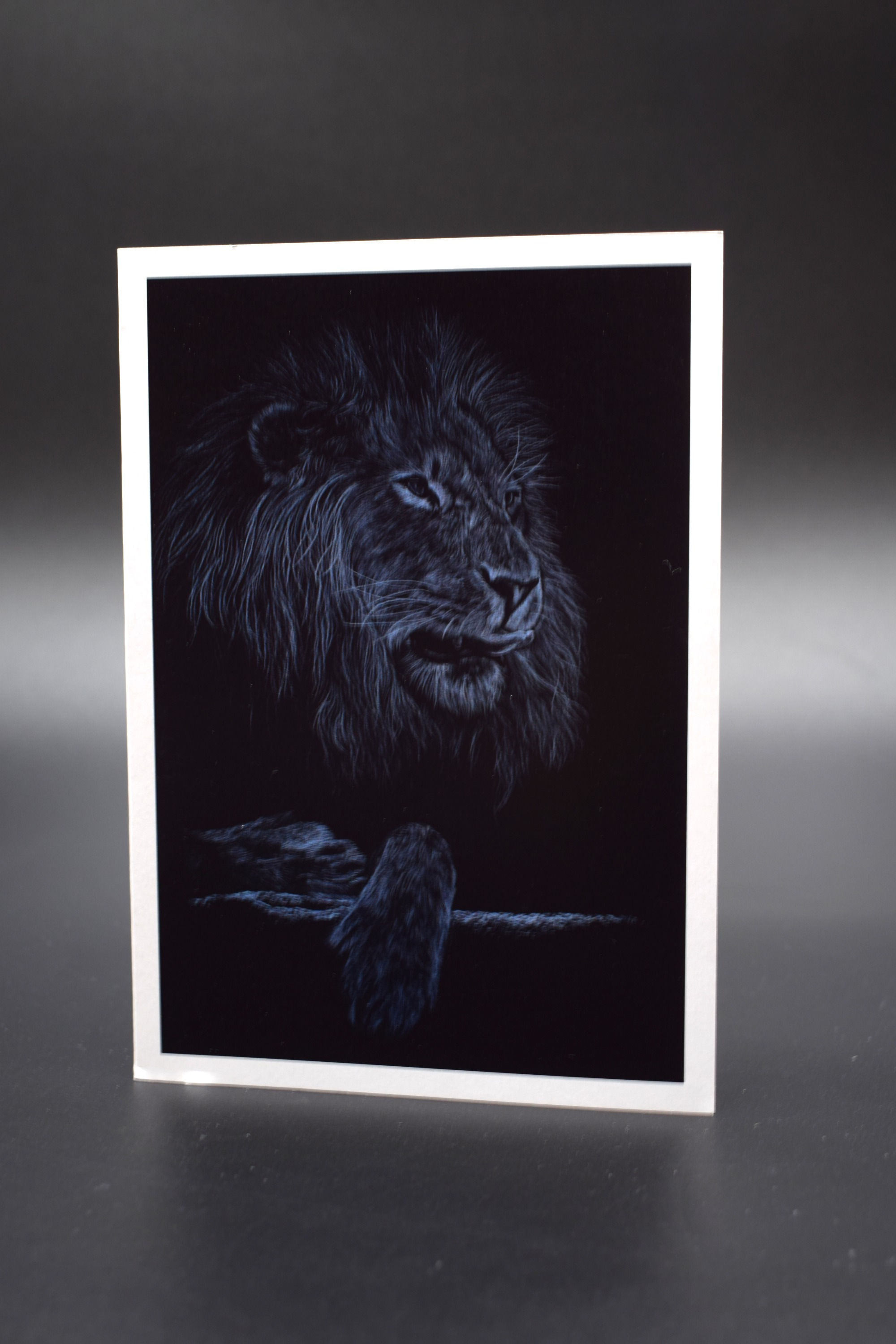 LION CARD