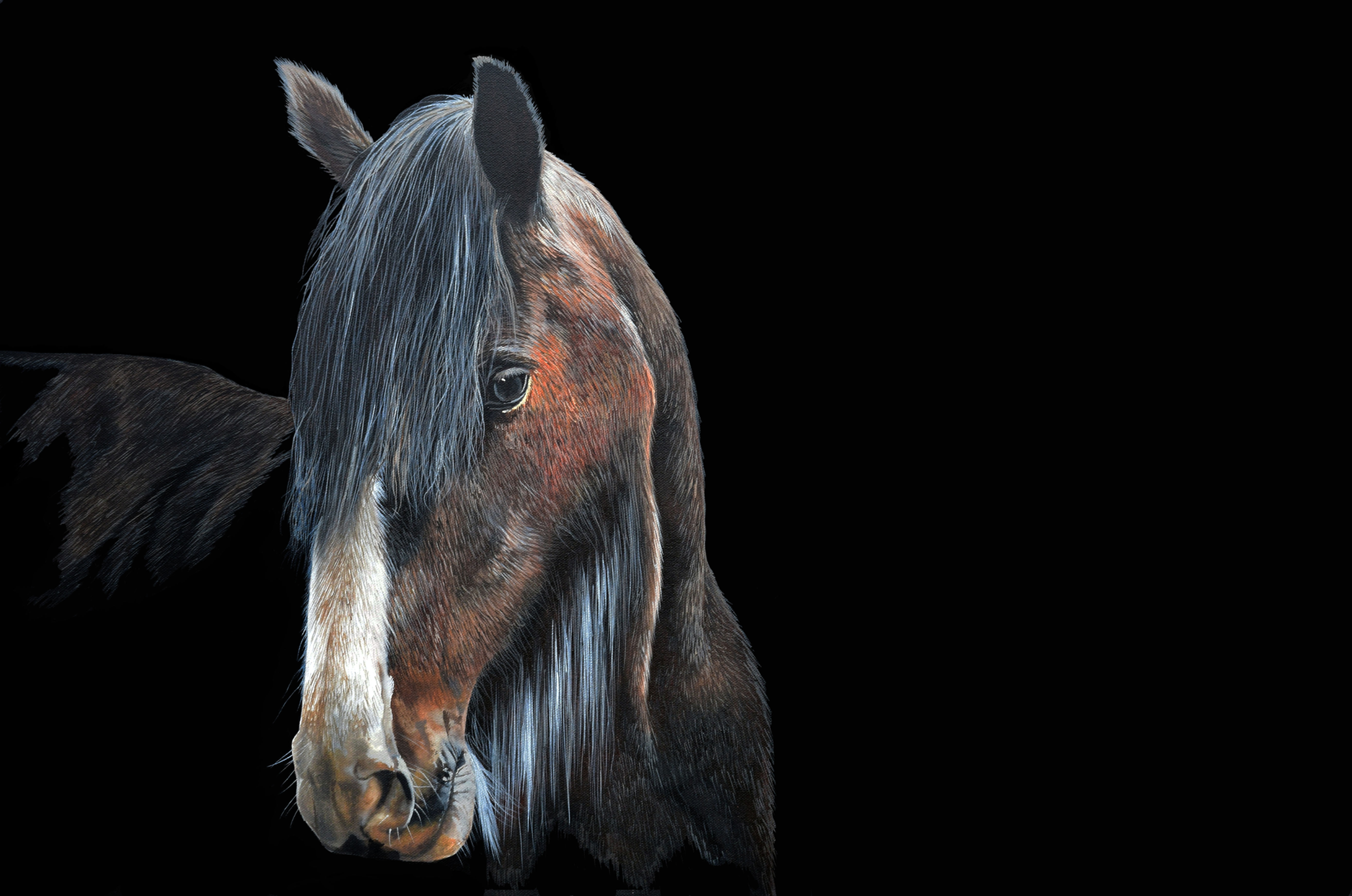 THE ROYAL APPOINTMENT