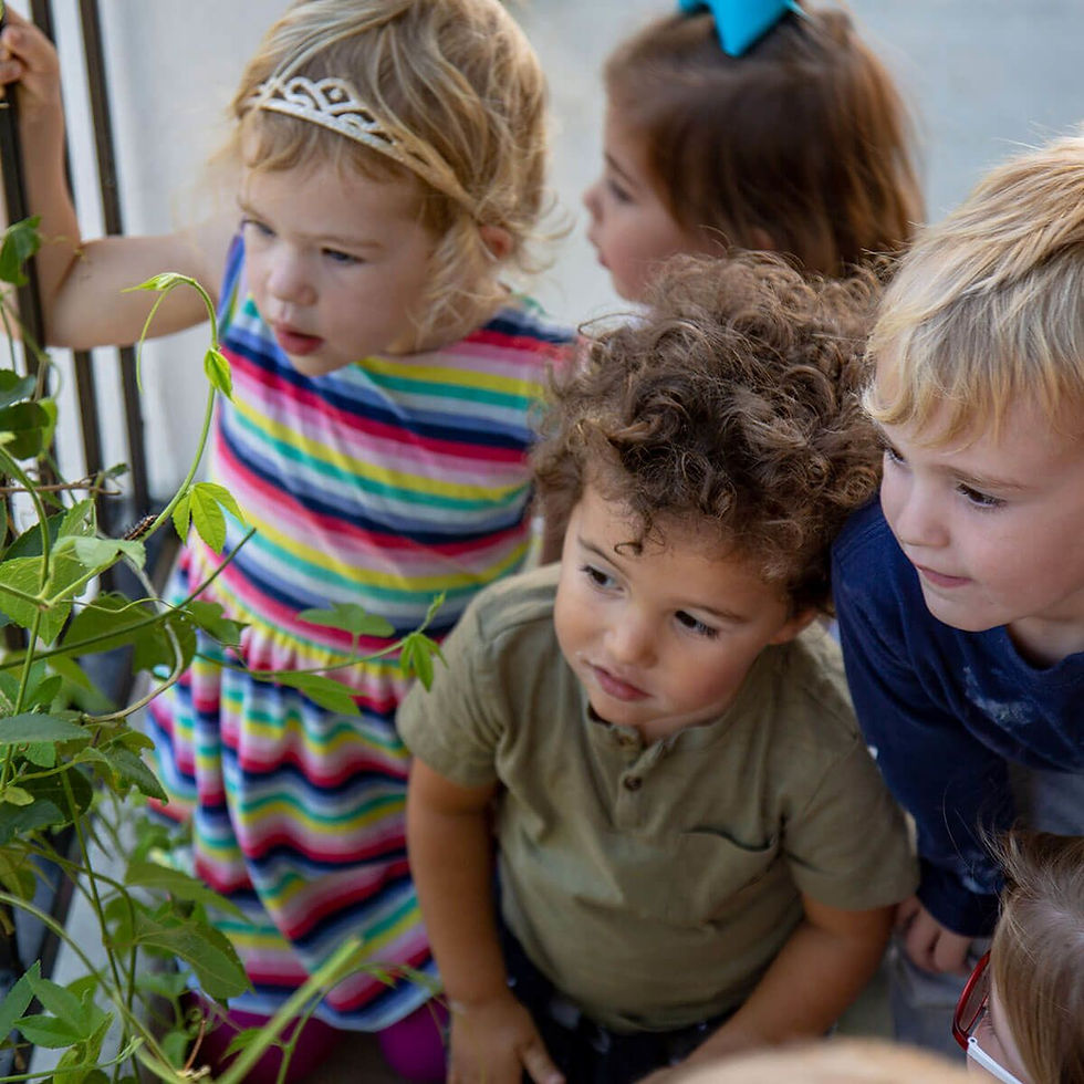 best daycare preschool in jersey city jcfamilies