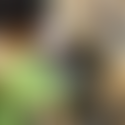 The Liberty School preschool daycare Jersey City