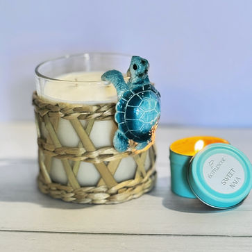 Coastal Inspired Candles : Bottlenose Candles & Dolphin Conservation