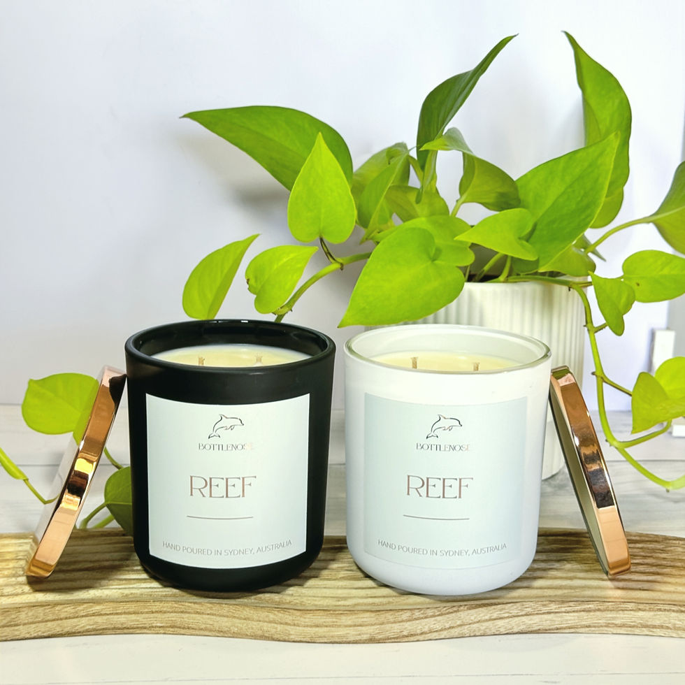 Thumbnail: Two candles with REEF and Bottlenose Candles tags, on a wooden board with plants.