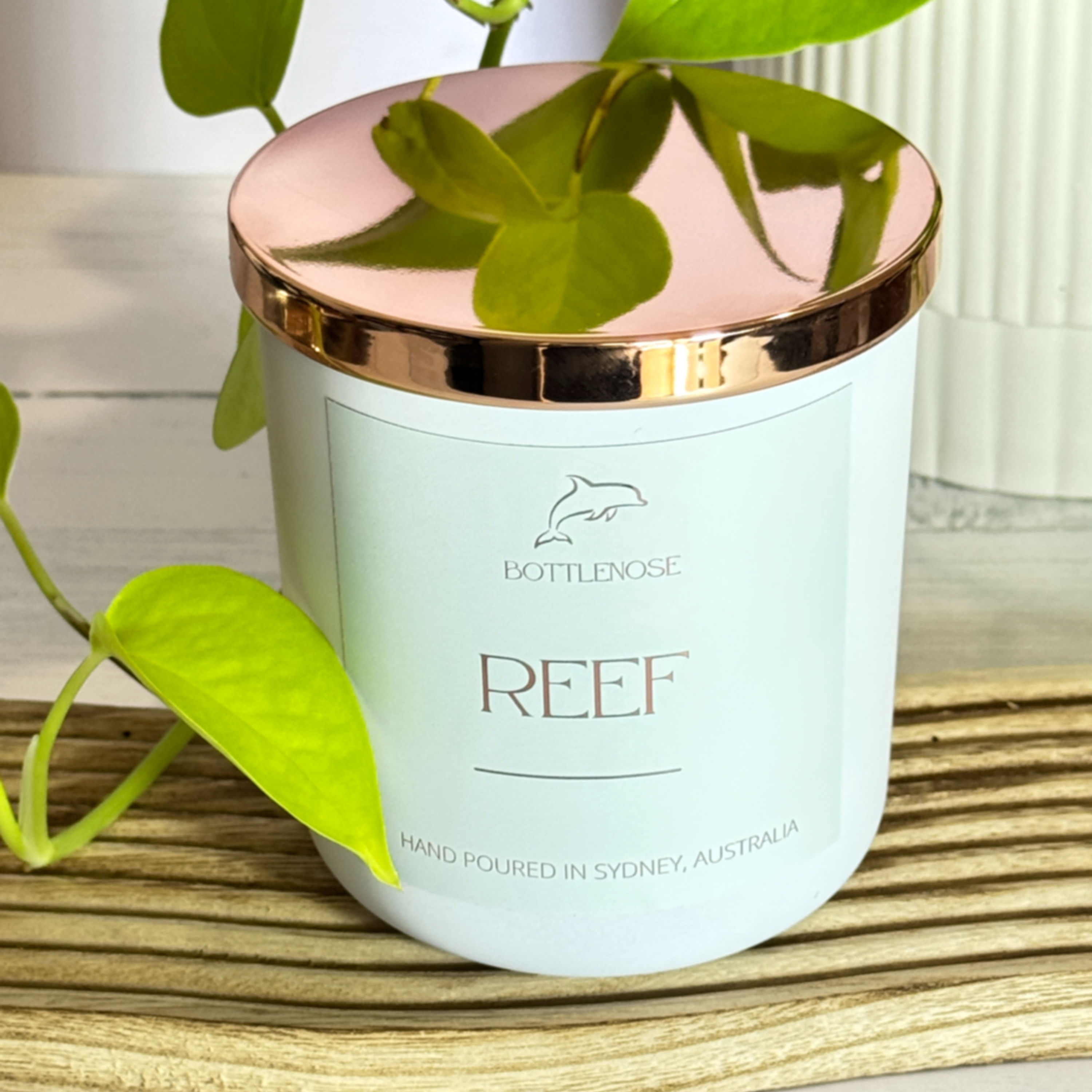 White candle with REEF text and logo, Bottlenose Candles. Reef double wick.