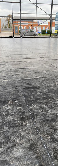 IMG_3734.JPEG