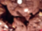 Chocolate "Triple Chocolate Threat" Cookie
