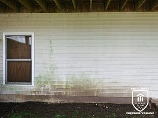 House Wash Before and After (19 of 34).jpg