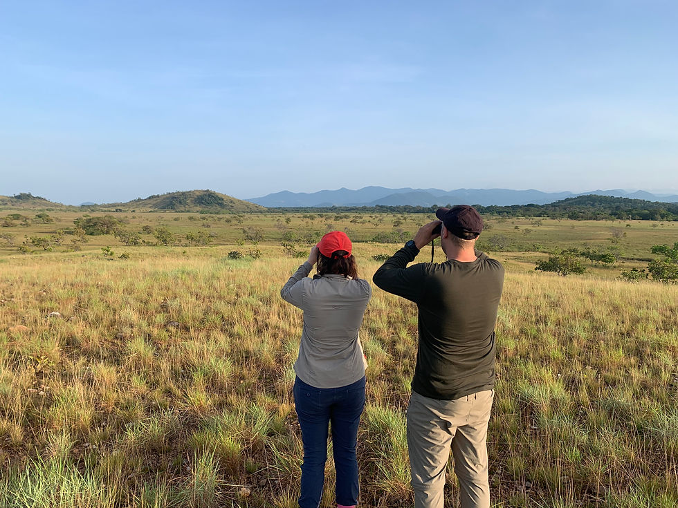 Guided Walks