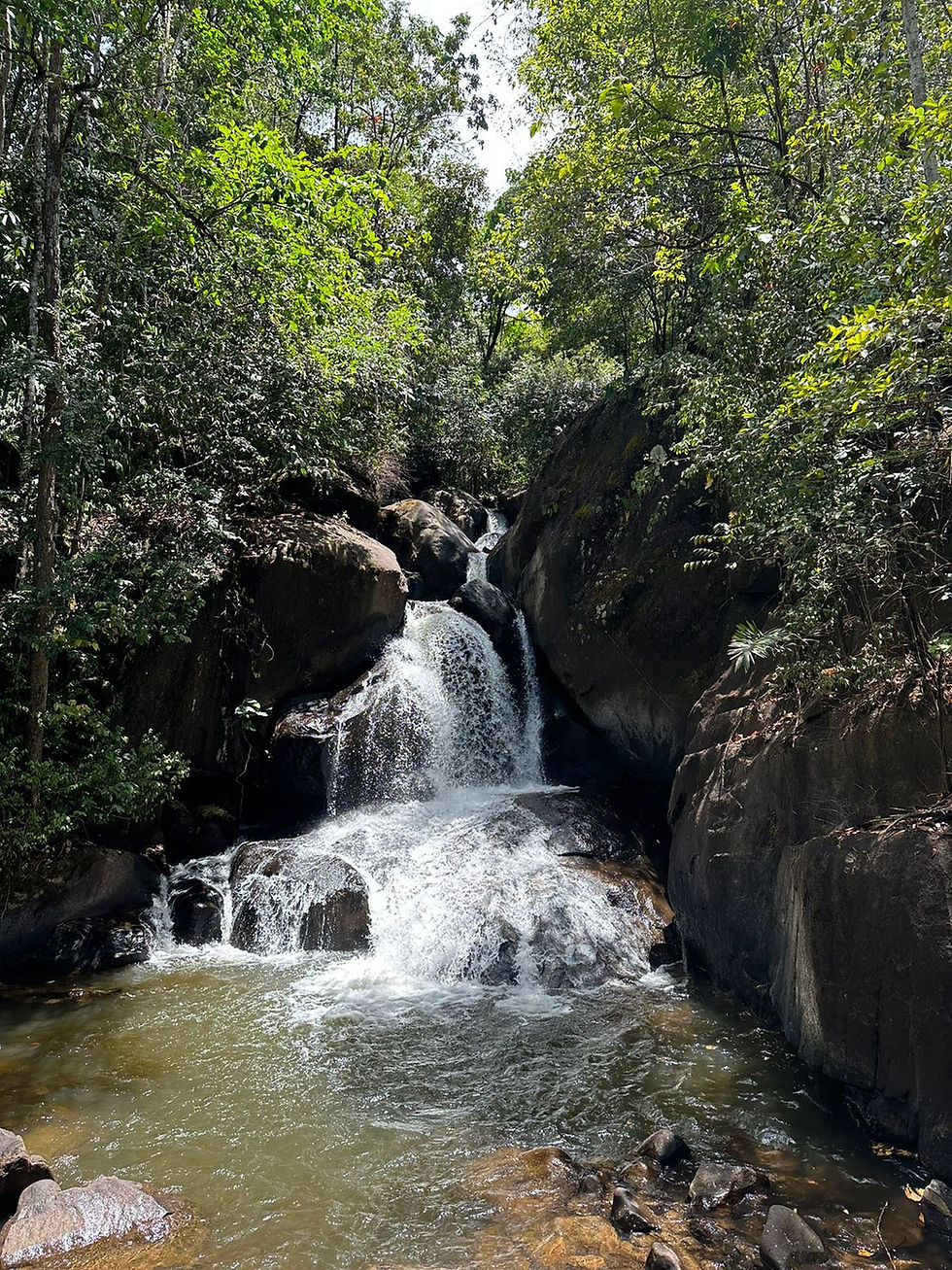 Waterfalls picnic lunch