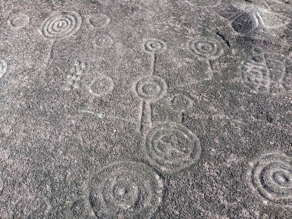 Ancient Landscapes Day Trip