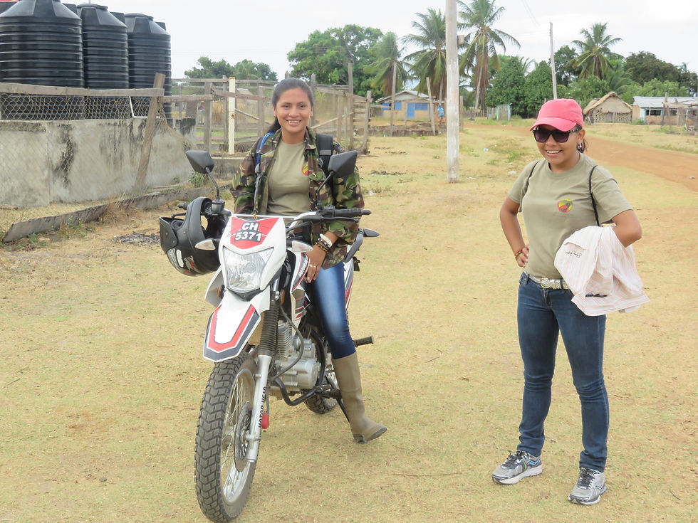 Thumbnail: One Red Siskin Monitoring Trip