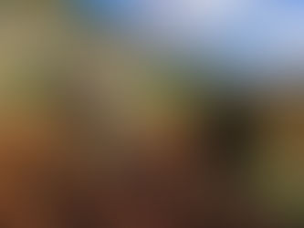 After a long wait, Cuba opens the door to more capitalism.