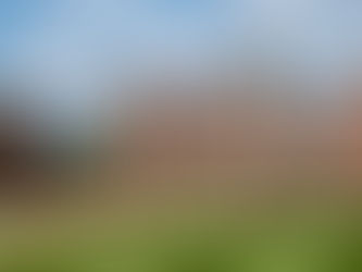 An army of parasitic wasps has been stationed within a stately British home to battle moths.