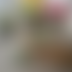 Redefining Pet Longevity: A London Story of Northern Partnerships and Science-Informed Nutrition