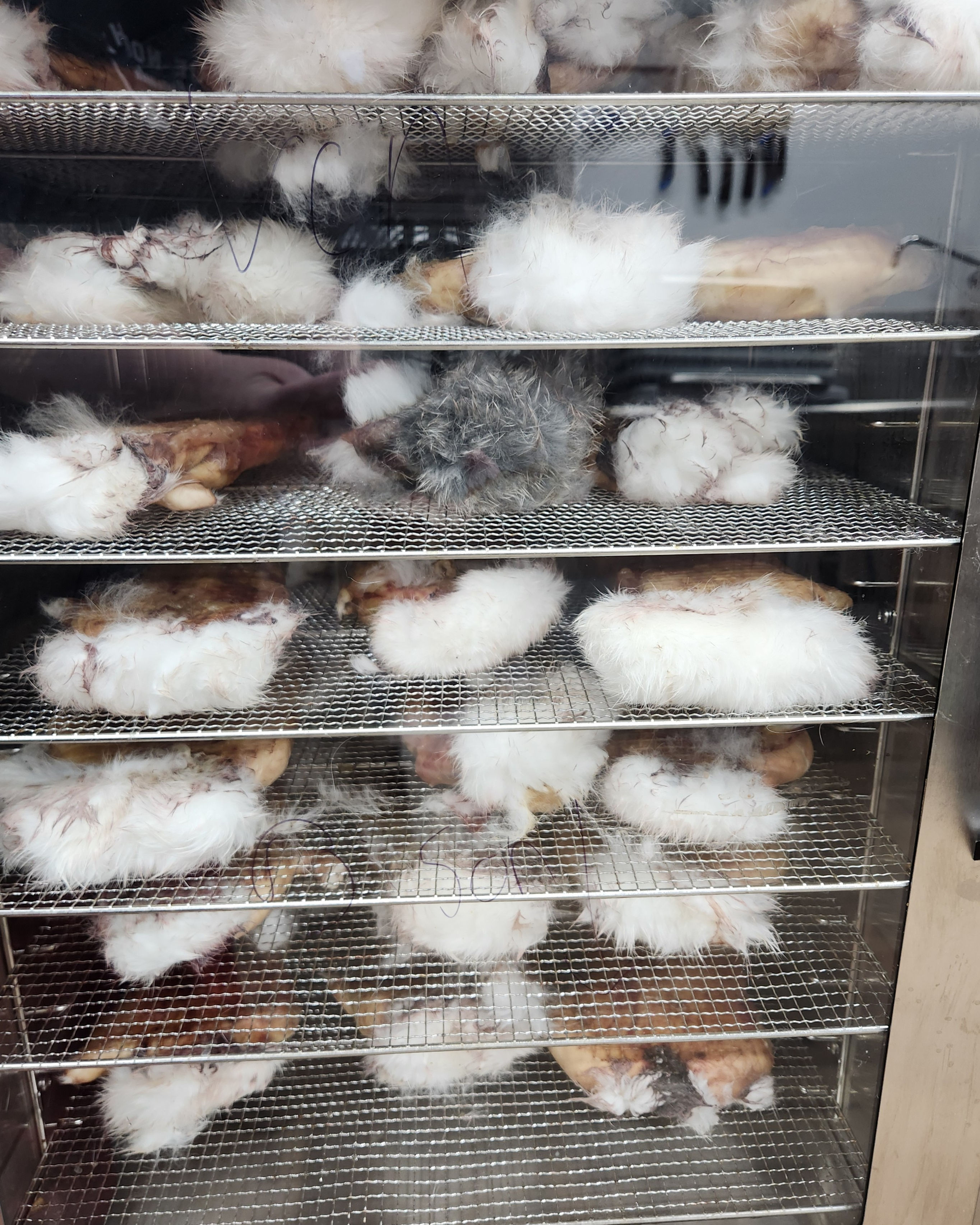 Bunny Onesie (Dehydrated Rabbit Hide; 1 piece)