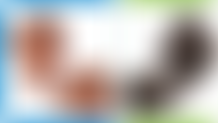 Dehydration vs. Freeze Drying, and The Making of Pet Treats