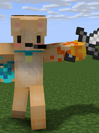 Minecraft Animation
