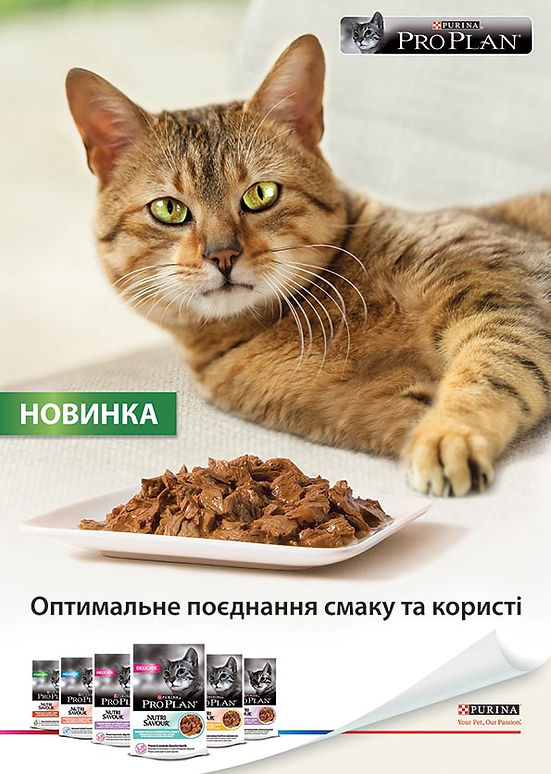 2017-07-05__Purina_Poster_420x594.jpg