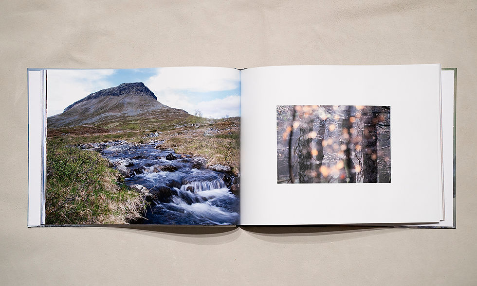 Thumbnail: Seven Colors of the Arctic Year