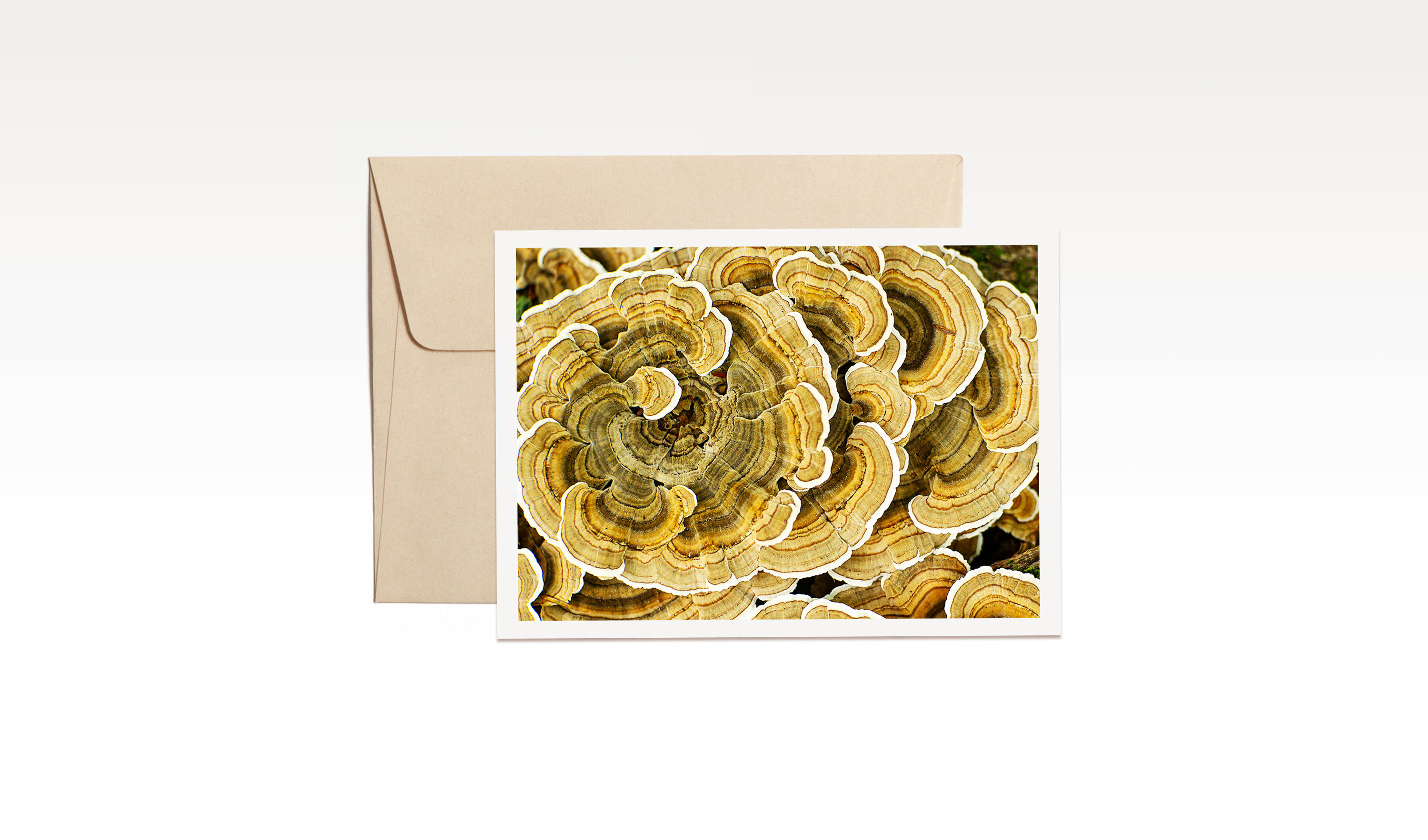 Carte de souhait - Sillons de couleurs