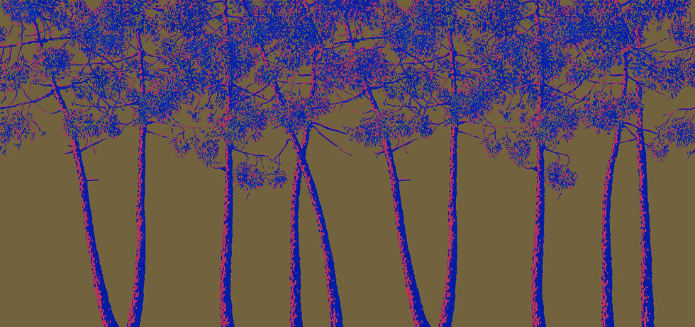 Thumbnail: TRICHROMIE DE PINS