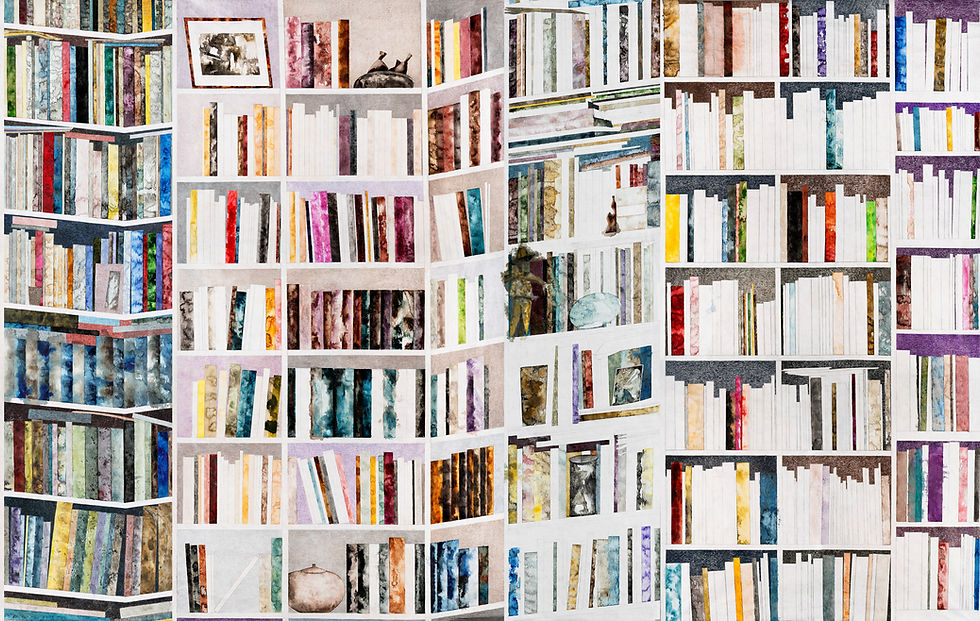 Thumbnail: BIBLIOTHEQUES