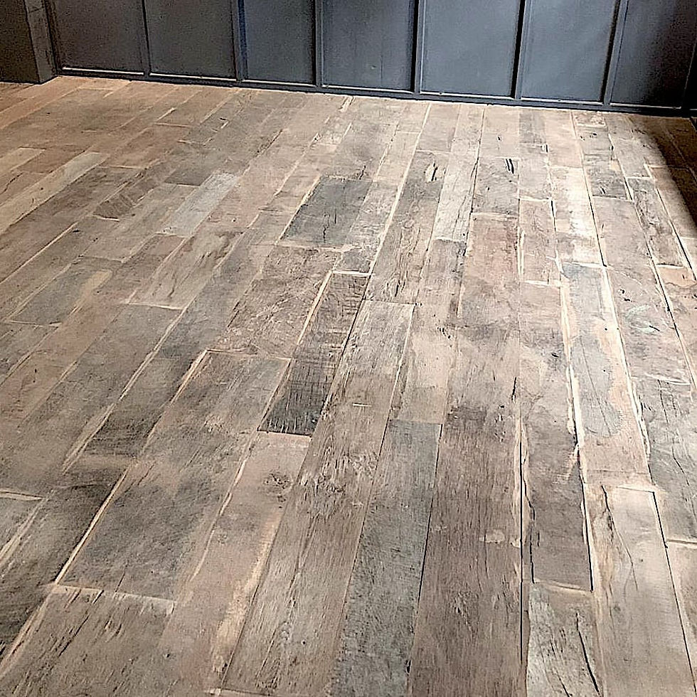 Miniatura: PLANEJADOR DE VELHO CHÊNIO