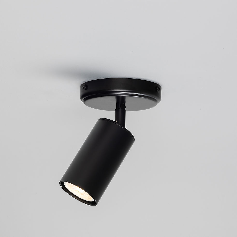 Miniatura: LUZ DE TETO EVANSTON