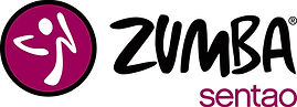 Fitness Zumba Sentao Art Passion Haguenau