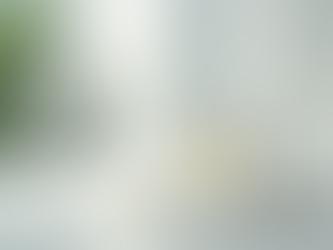 A Importância da Limpeza Profissional em Empresas