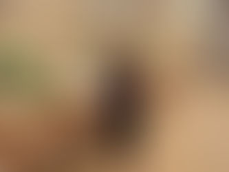 2025 foi inesquecível. 2026 promete ainda mais no Splendore Festas