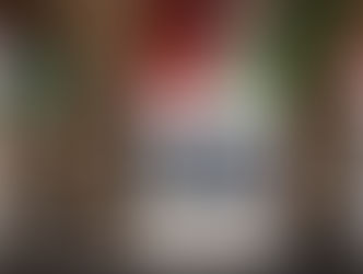 Itália: tudo que você precisa para planejar sua viagem