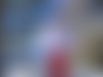 Como Leardini Consulenze pode ajudar a enfrentar a incoerência política e proteger a identidade nacional italiana