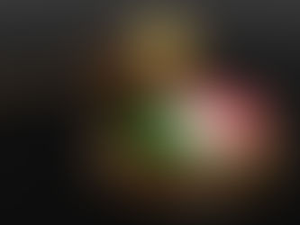 Leardini Consulenze: Como a tradução correta das suas certidões pode garantir sua cidadania italiana