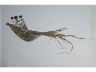 Botanical bird 展 2022.10.22-10.24