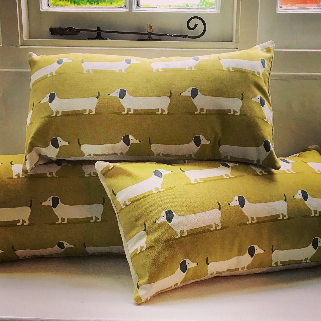 Dachshunds Cushion