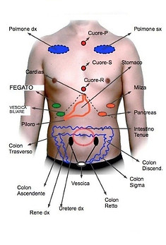 DERMALGIE.jpg
