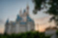 MK_MK_20161028_7650655294.jpeg