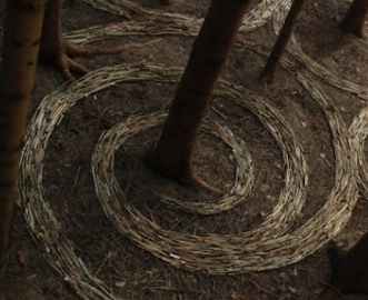 nature a