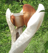 tetu6
