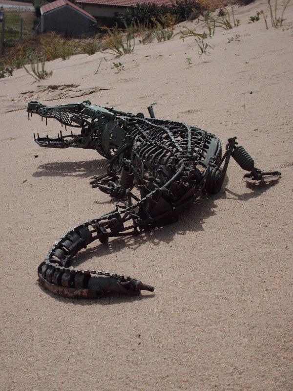 Douglas_wong_crocodile