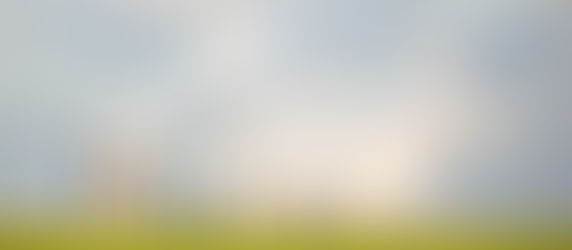 Book Review: 棕須一變 - 香港棕地的過去、現在與未來 The ‘Field’ to Change