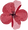 Framed-bloom-course-tania-miller-art-11.png