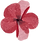 Framed-bloom-course-tania-miller-art-11.png