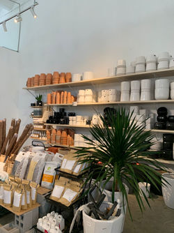 WhatsApp Image 2022-03-01 at 3.34.24 AM (2)