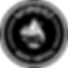 NEW PARTNER (9).png